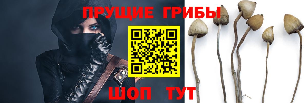 Усть-Джегута  Псилоцибиновые грибы ЛСД  Вход с VPN 